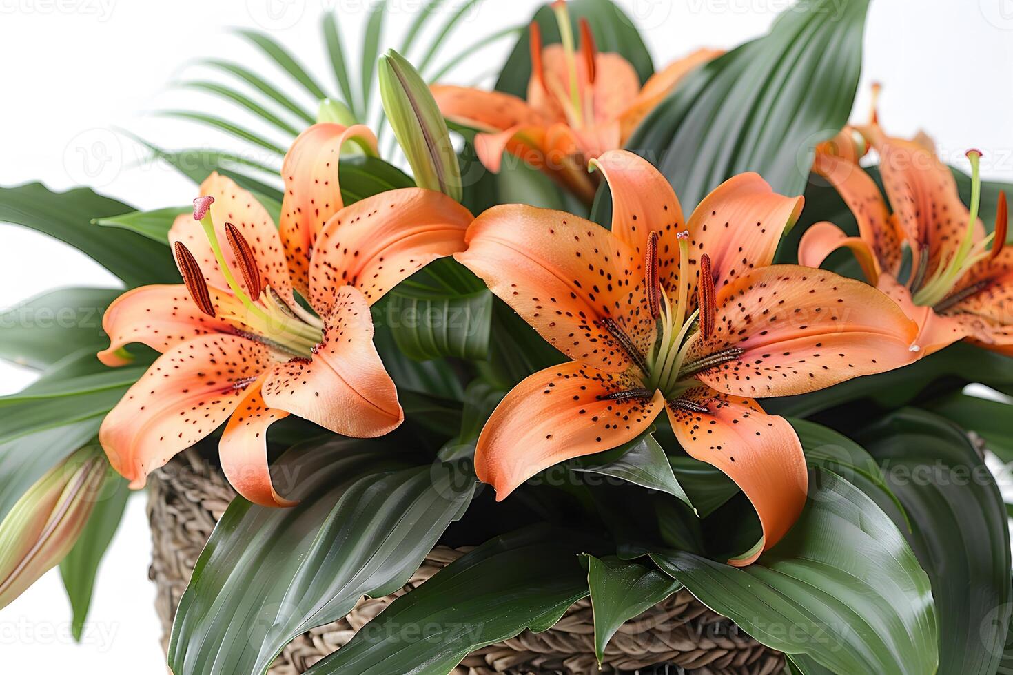 Bright Orange Lilies in a Woven Basket - Perfect for Floral Arrangements and Home Decor photo