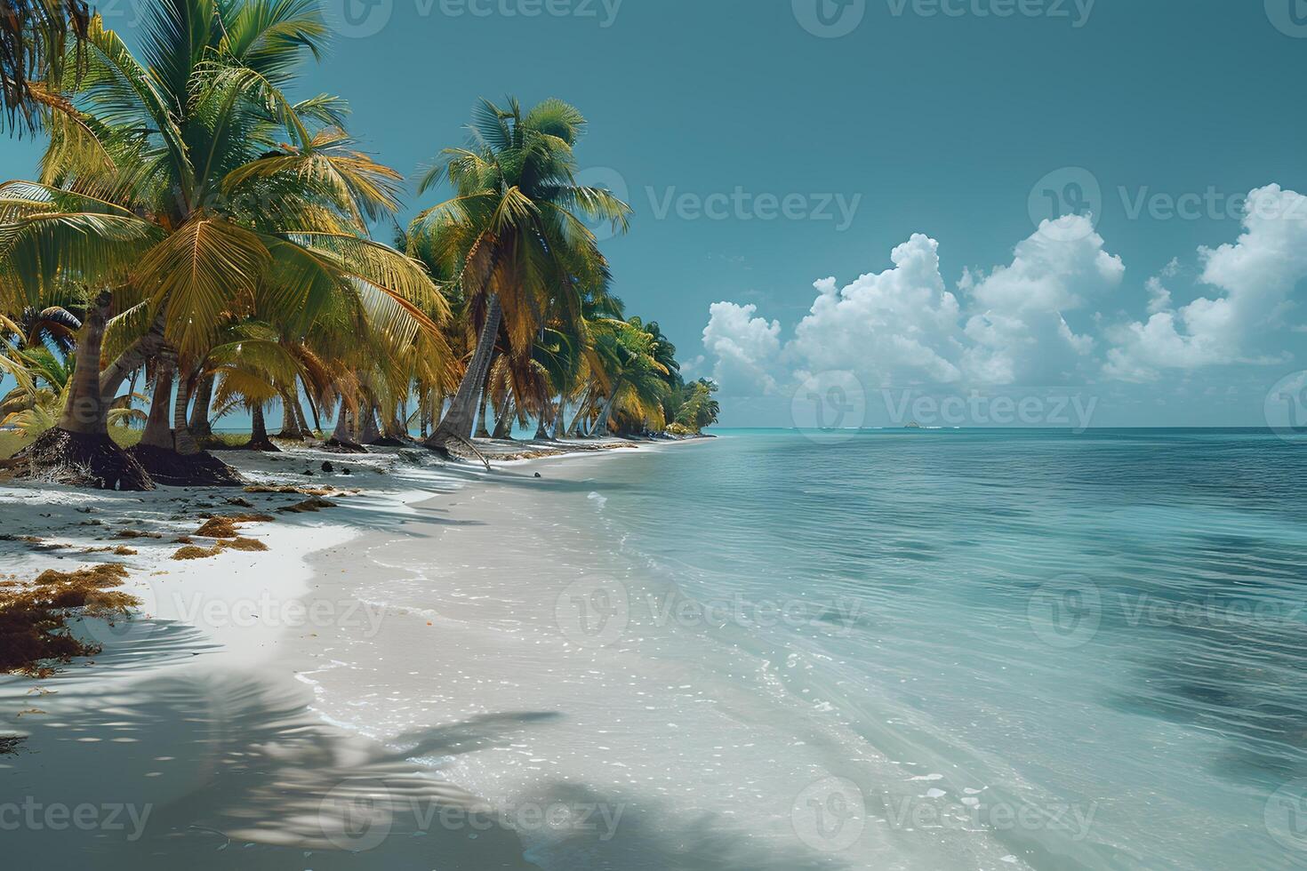 Tropical Paradise Beach with Palm Trees and Turquoise Sea - Ideal for Summer Vacation Themes, Travel Posters, and Beach Holiday Designs photo