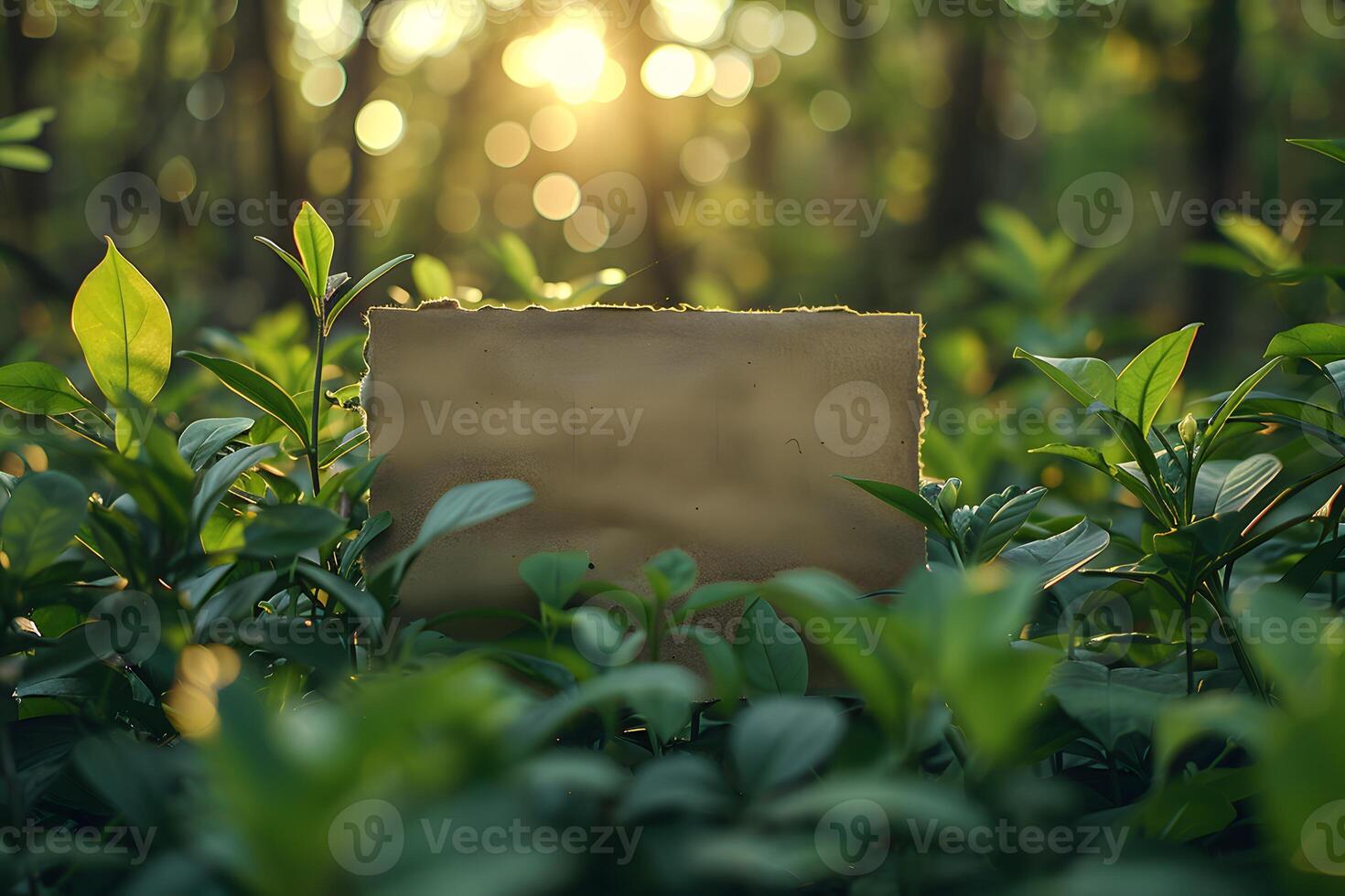 Eco-Friendly Nature Background with Blank Vintage Paper for Custom Messages - Perfect for Sustainable Design and Environmental Projects photo