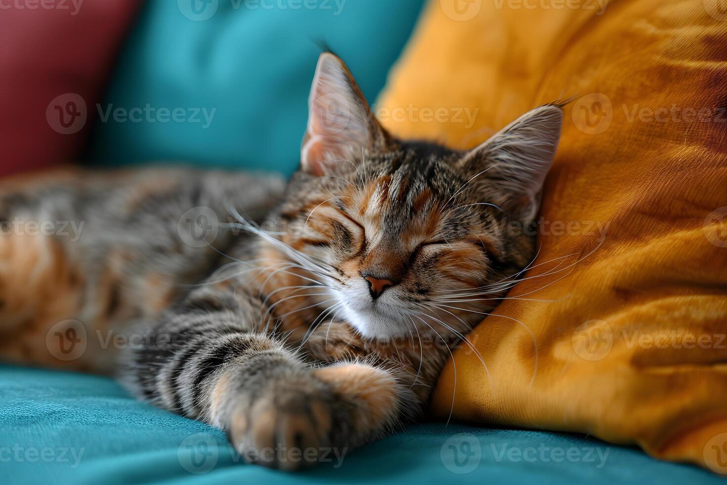 Sleepy Cat Relaxing on Colorful Couch - Cozy Pet Portrait, Perfect for Home Decor, Posters, and Greeting Cards photo