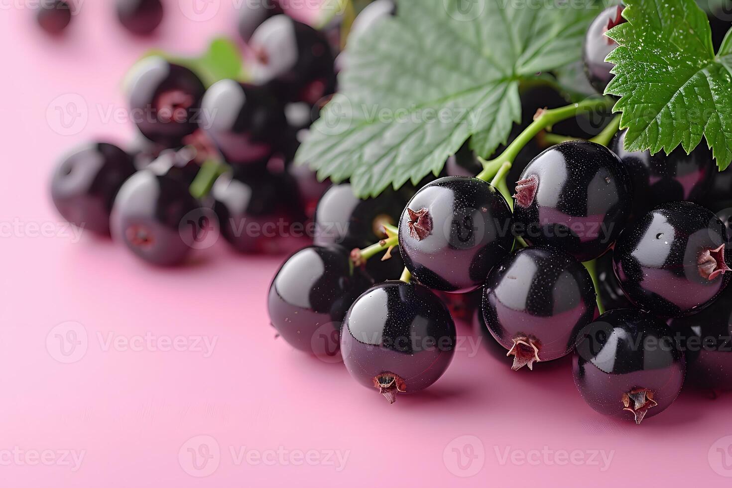 Fresh Black Currants on Pink Background - Summer Refreshment Concept for Print Design photo