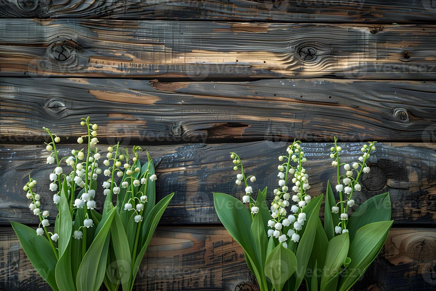 Lily of the Valley Flowers on Weathered Wooden Background - Nature Scene for Use in Home Decor, Print, and Posters photo