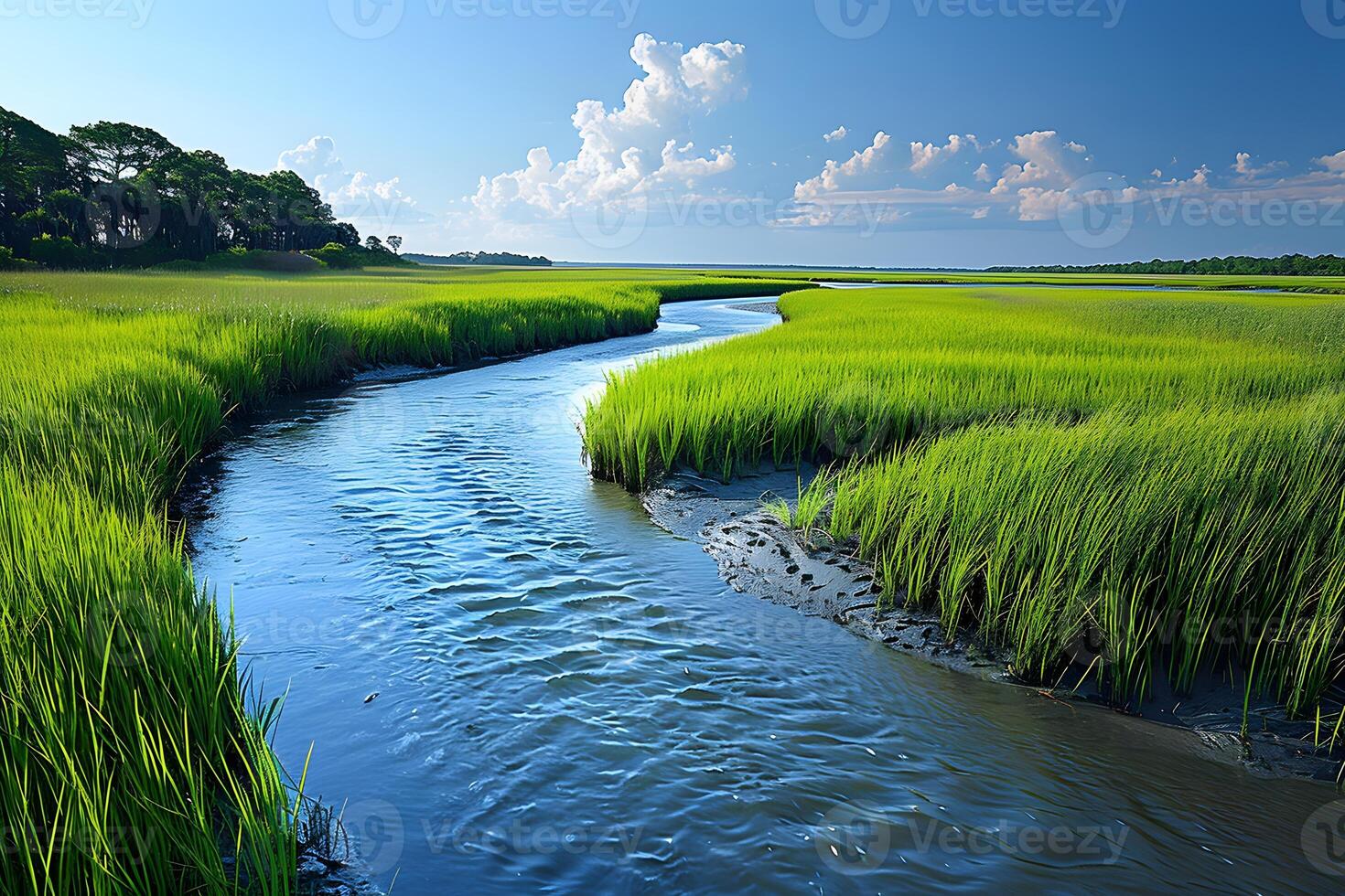 Tranquil Coastal Landscape with Lush Green Marshland and Serene River Bend photo