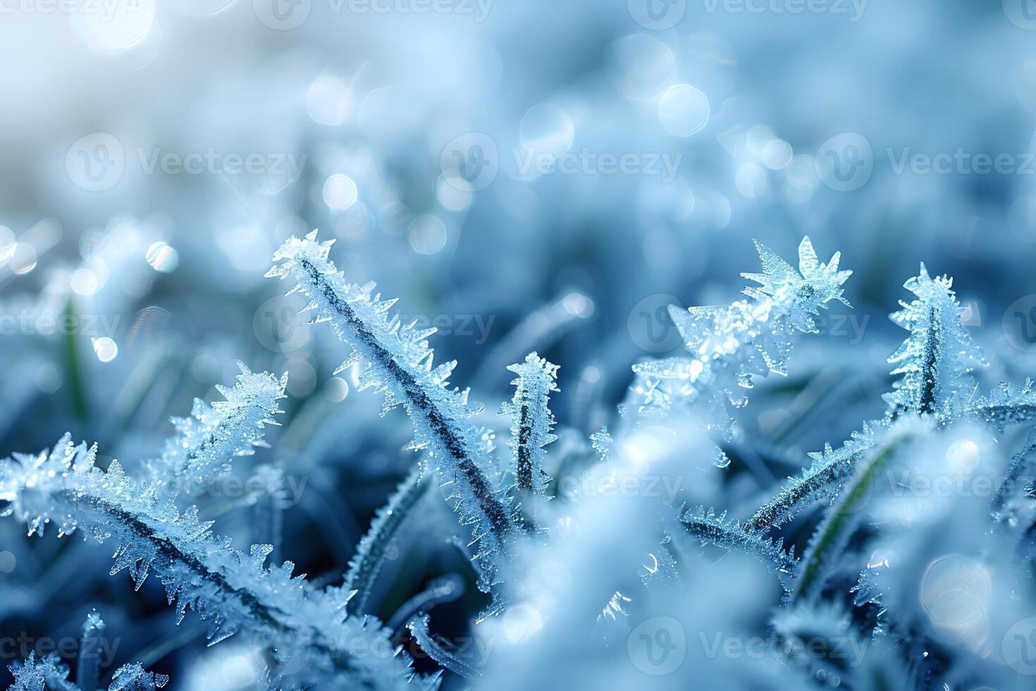 Frosty Winter Morning Close-Up of Ice Crystals on Grass Blades, Perfect for Holiday Designs photo