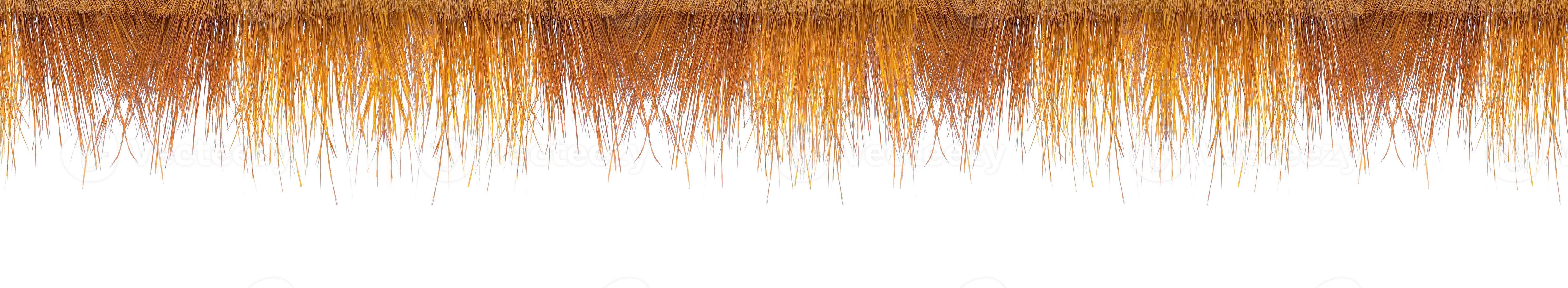 Close-up of Natural Straw Thatch Roof Texture Isolated on White Background for Design and Decoration photo
