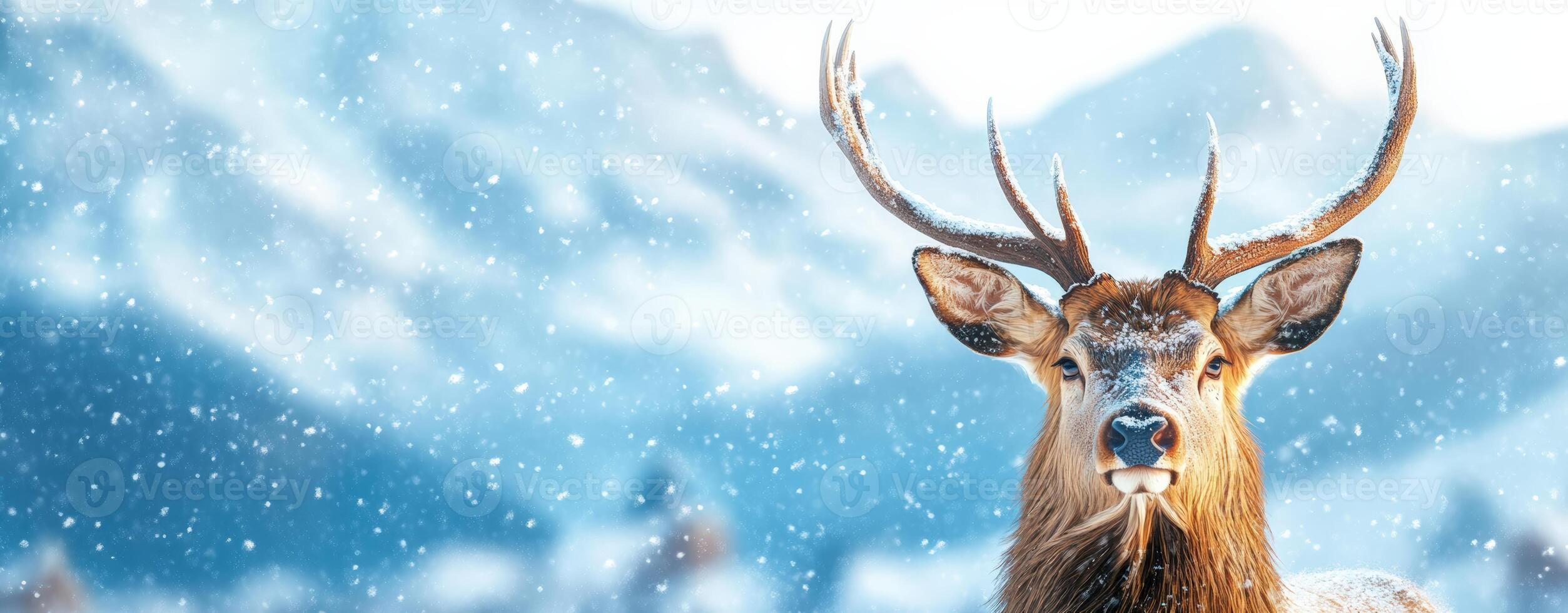 A majestic deer stands in a snowy landscape, showcasing its magnificent antlers against a backdrop of serene winter mountains. photo