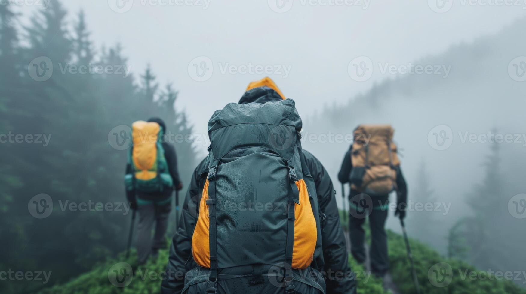 Three hikers with backpacks trek through a misty forest landscape, surrounded by evergreen trees and fresh, invigorating mountain air. photo