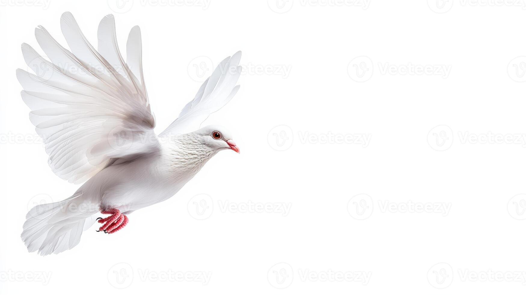 A white dove with outstretched wings in flight against a white background symbolizing peace, freedom, and purity. photo