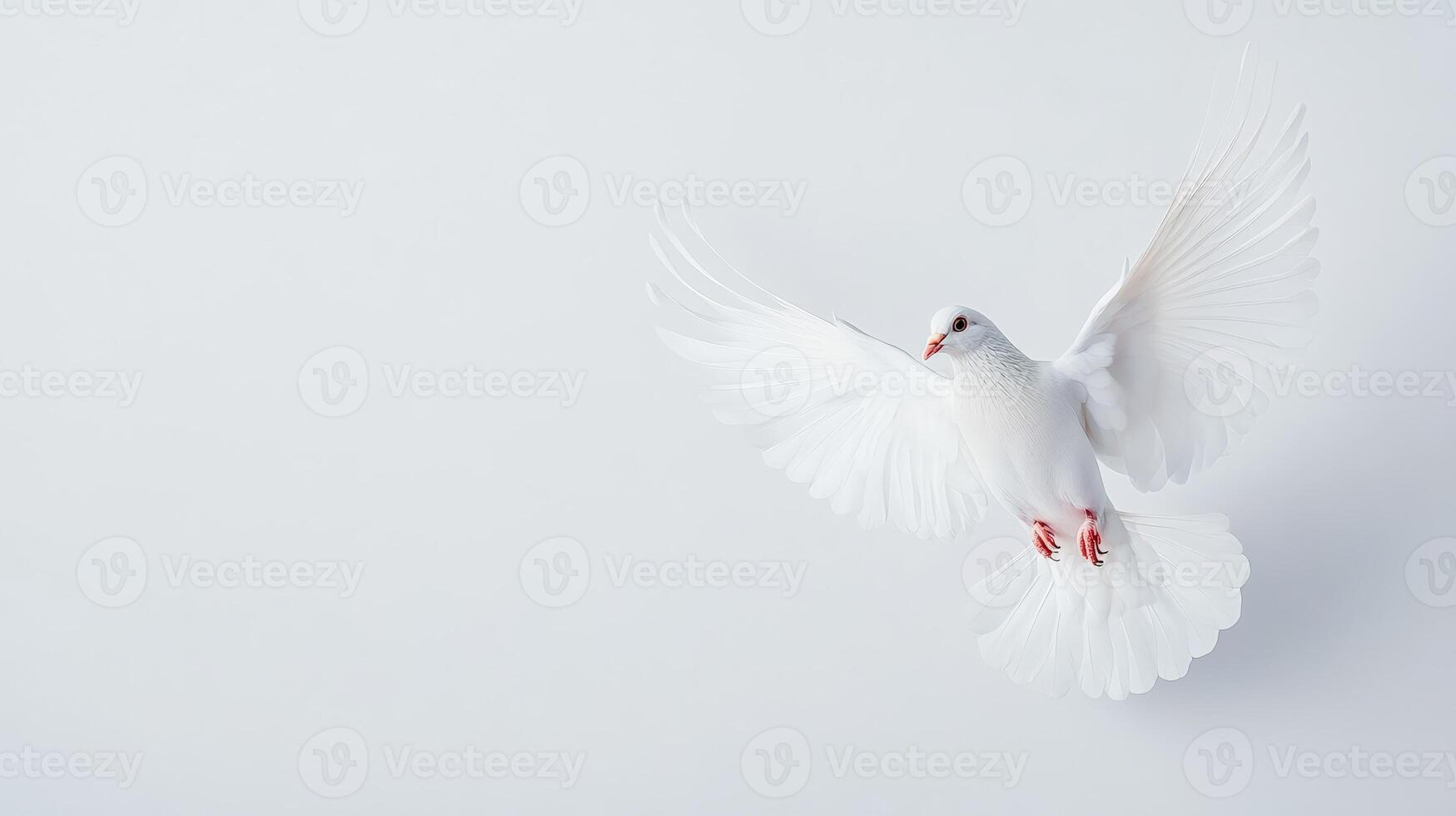 A beautiful white dove in flight against a clean, minimalistic background. Symbol of peace, freedom, and purity. photo