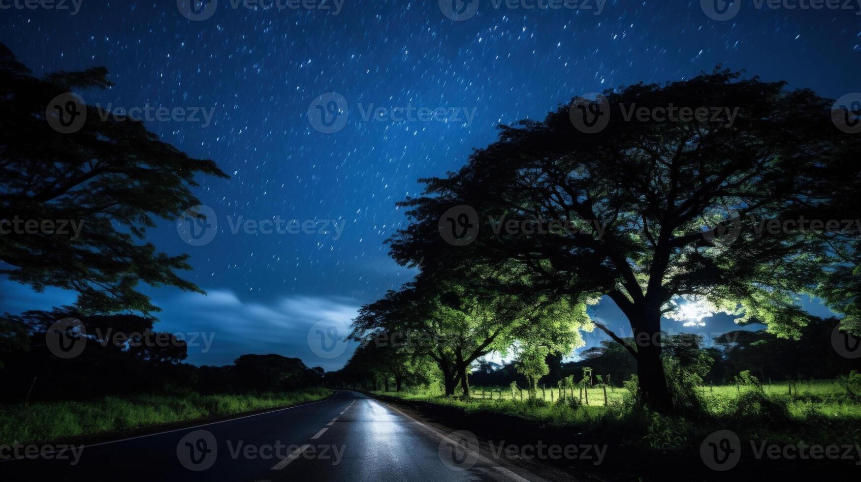 A long, dark road winds through a forest under a sky full of stars, with a single tree in the foreground. photo