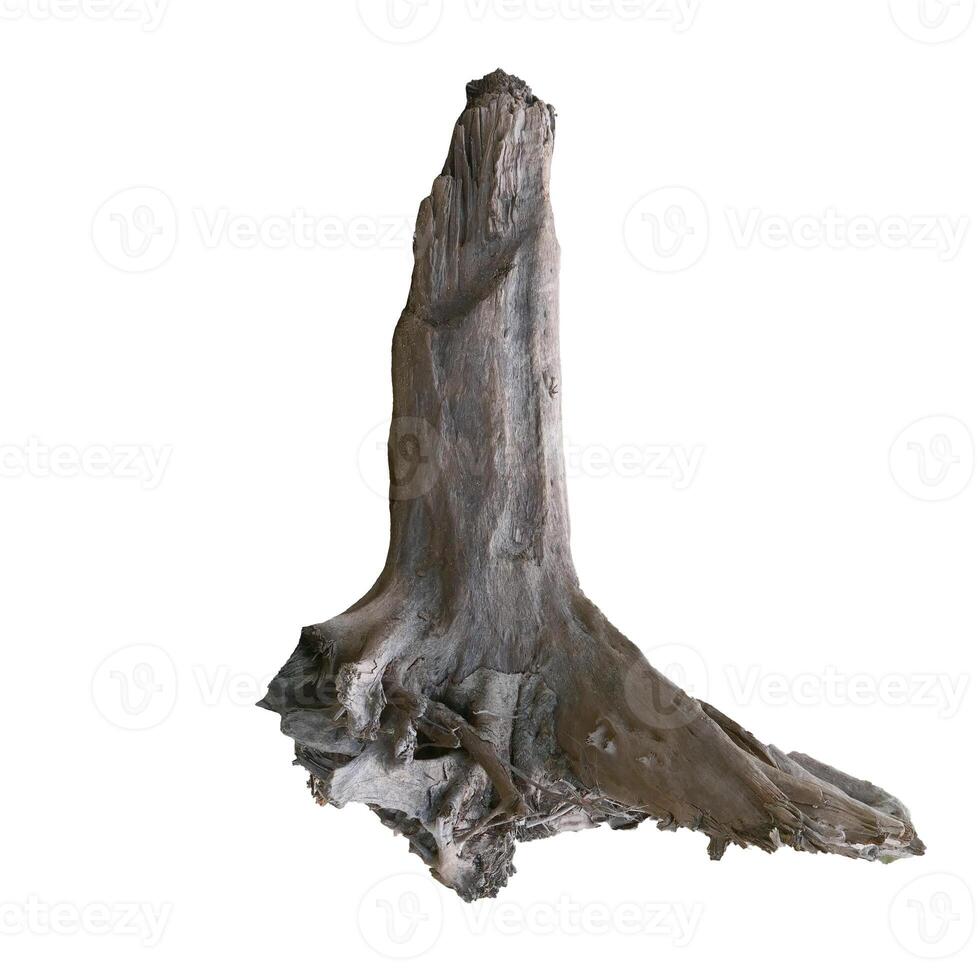 Weathered Tree Stump on White Background Isolated for Nature and Environmental Concepts photo