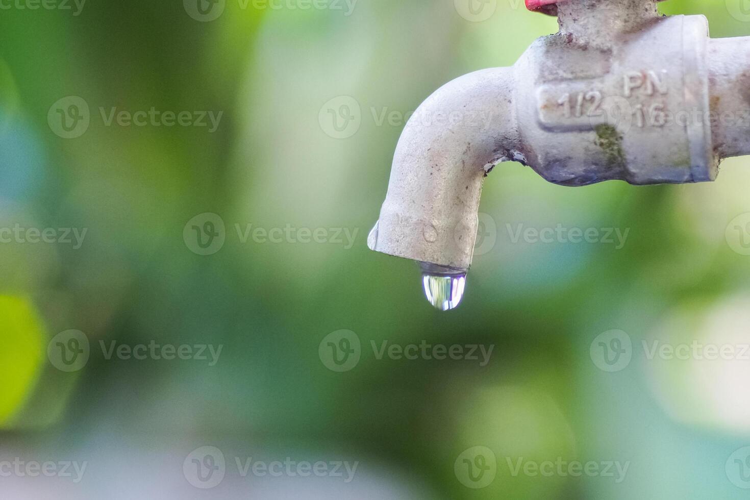 Close-Up of a Dripping Water Faucet Against a Green Blurred Background in Natural Light photo