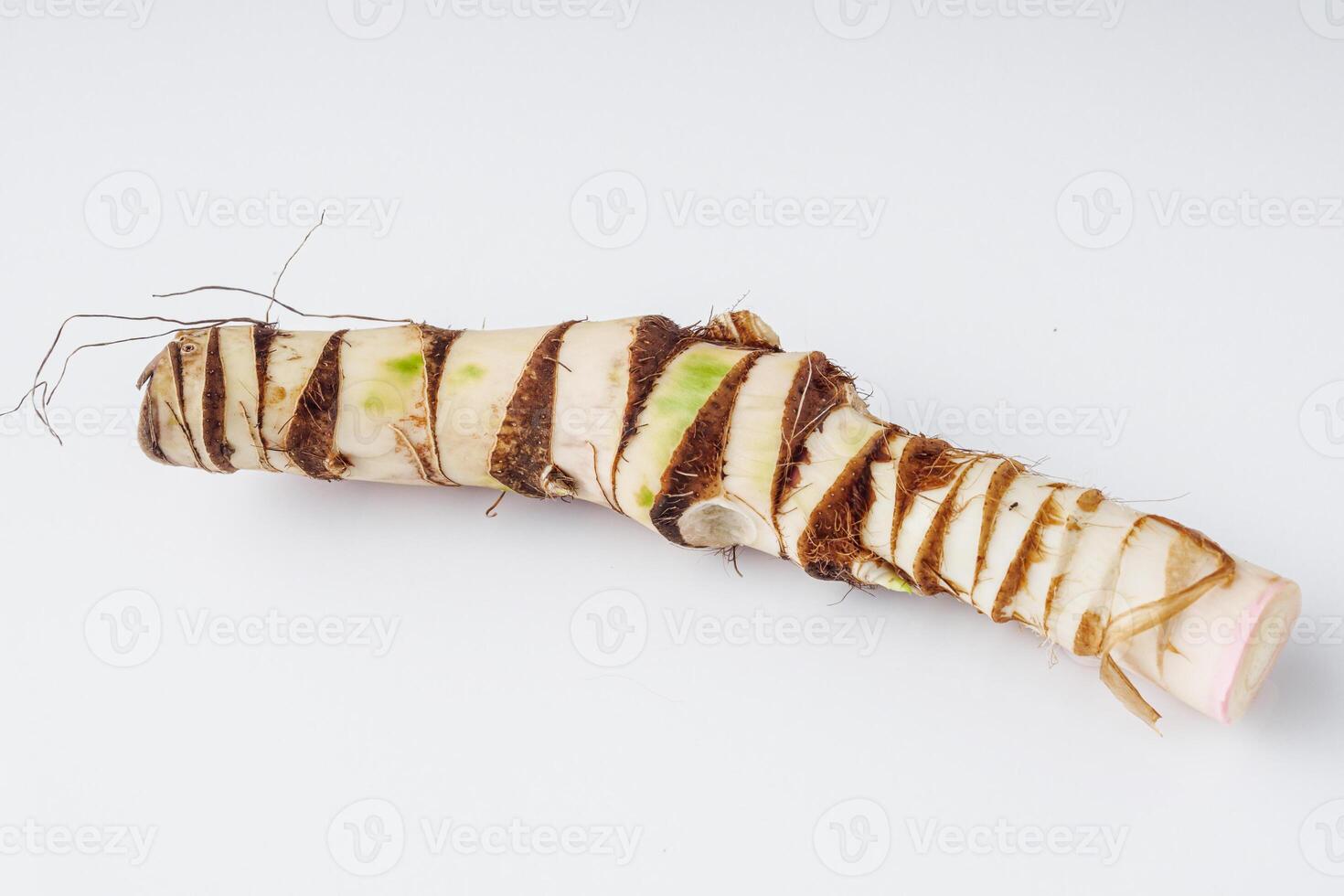 fresh yarrow root on a white acrylic background photo