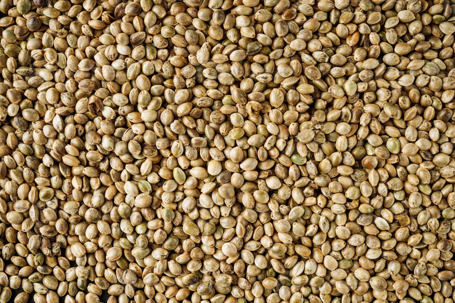natural hemp seed on black stone background photo