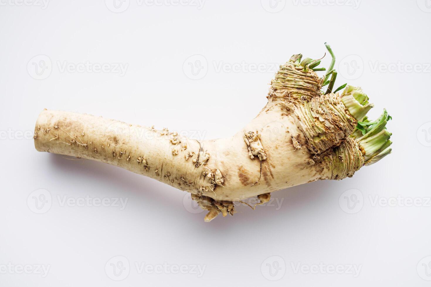 aromatic horseradish root on a white background photo