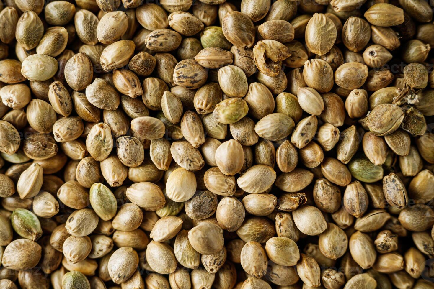 natural hemp seed on black stone background photo