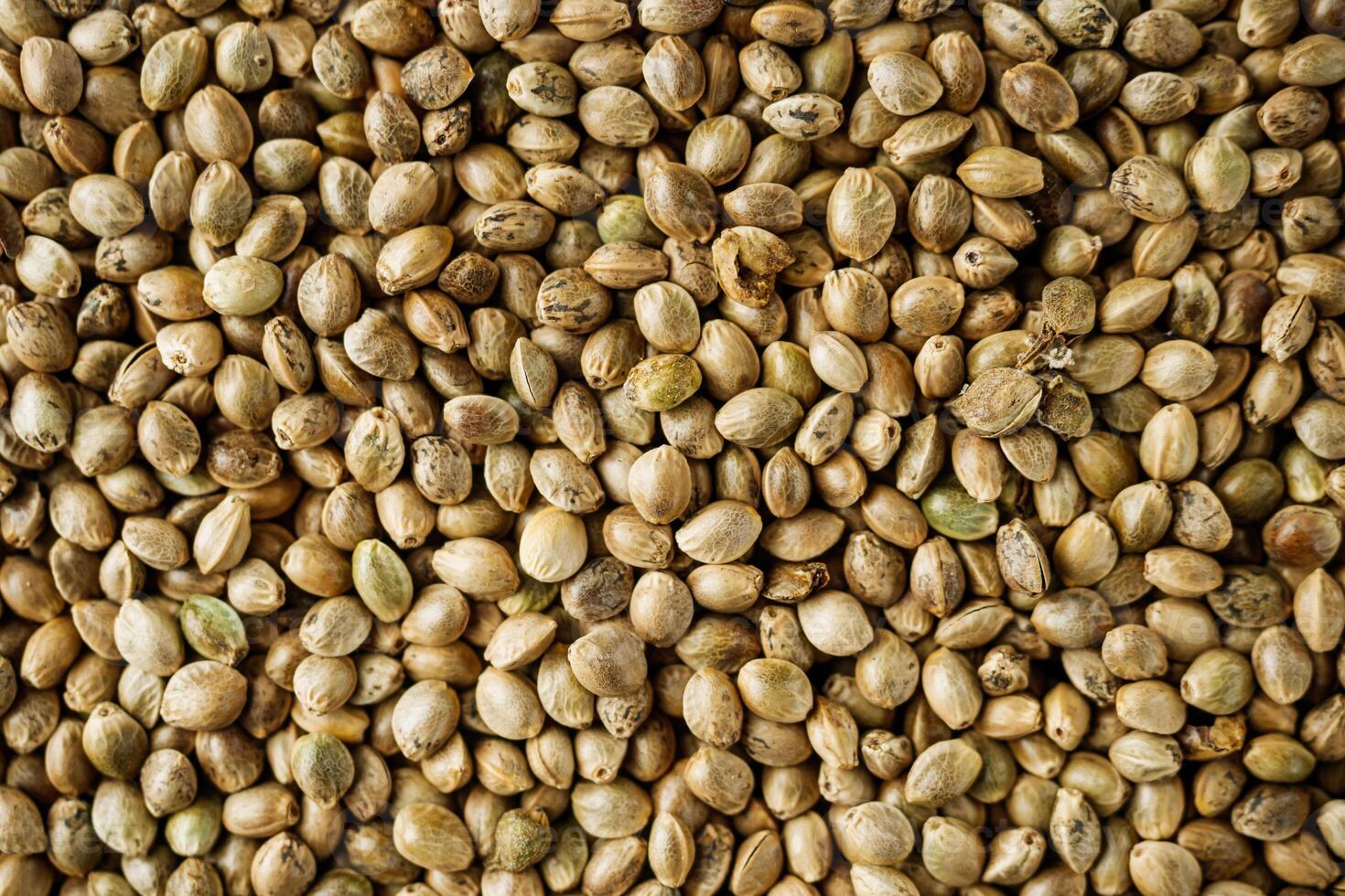 natural hemp seed on black stone background photo