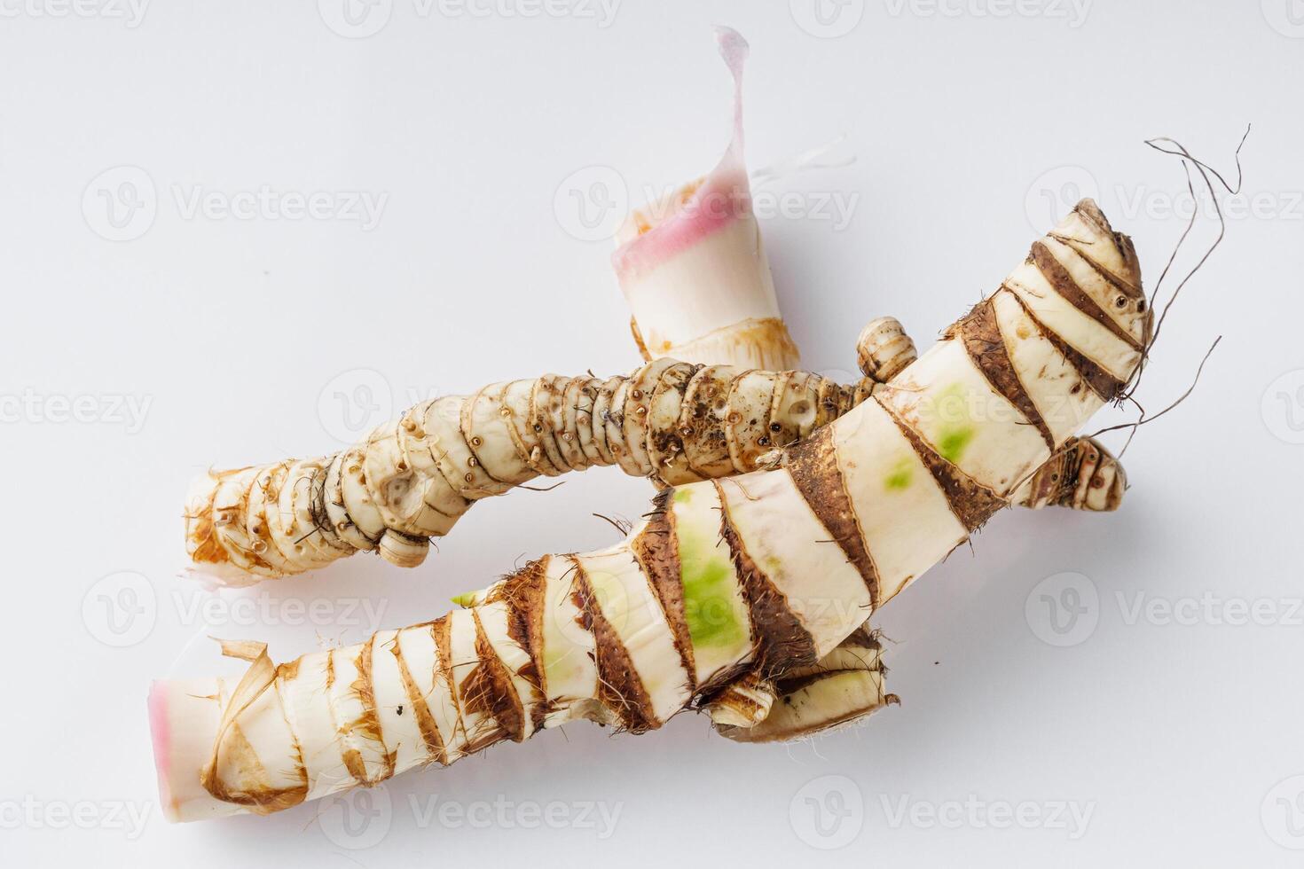 fresh yarrow root on a white acrylic background photo