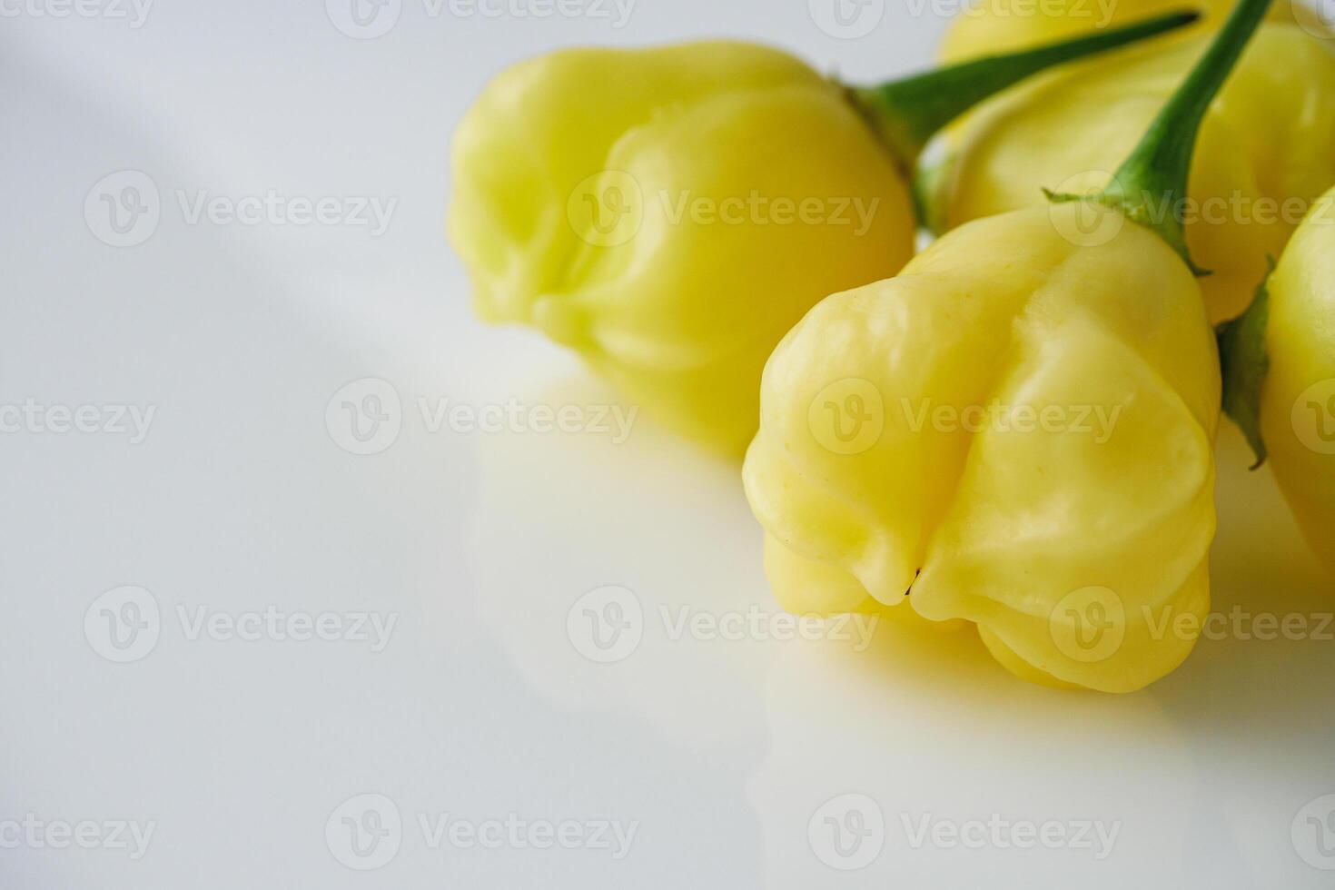 fresh delicious chili pepper aji white fantasy on a white background photo