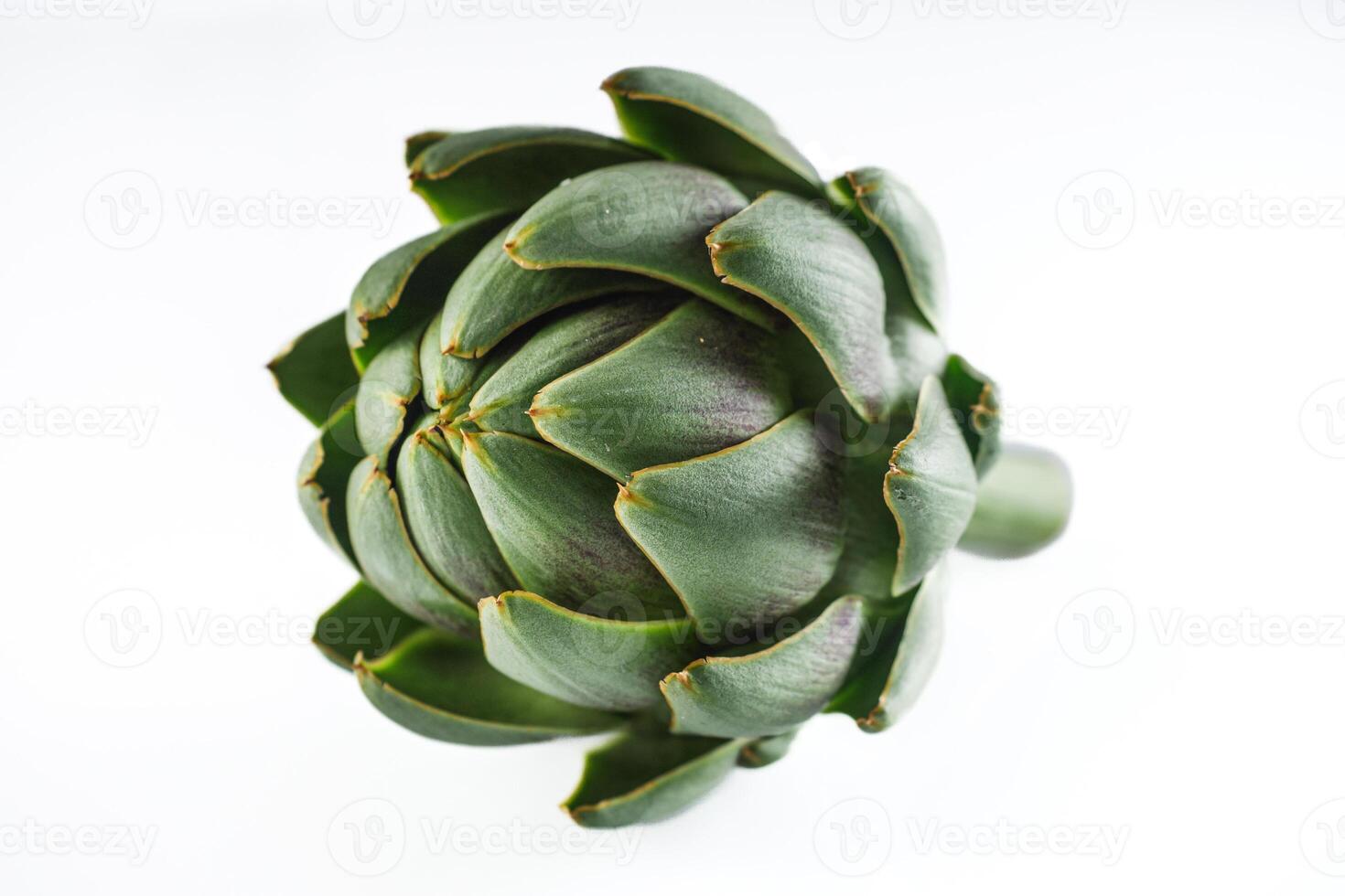 fresh natural artichokes on a white acrylic background photo