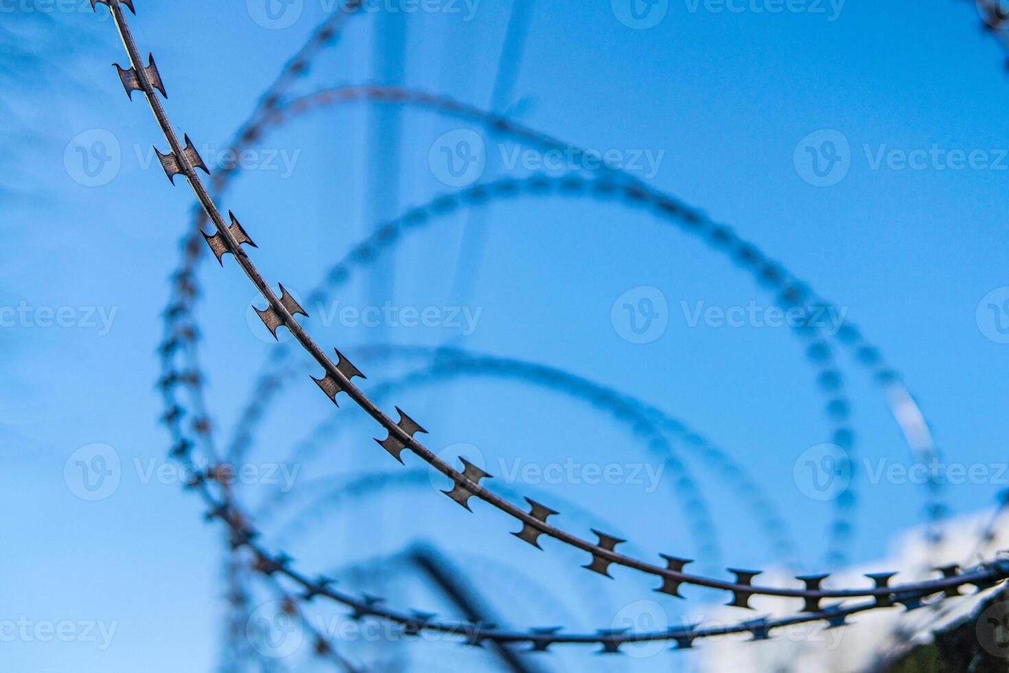 Barbed wire against the blue sky. Barbed fence close-up. photo