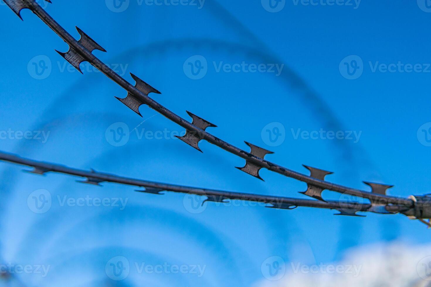 Barbed wire against the blue sky. Barbed fence close-up. photo