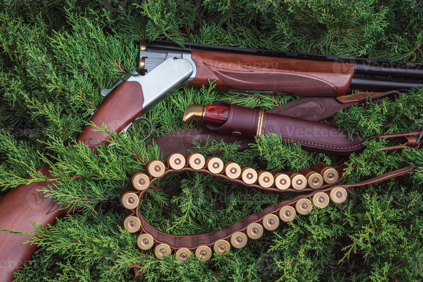 an open hunting rifle with cartridges and a knife in a leather case, lying on the branches of green fir. photo