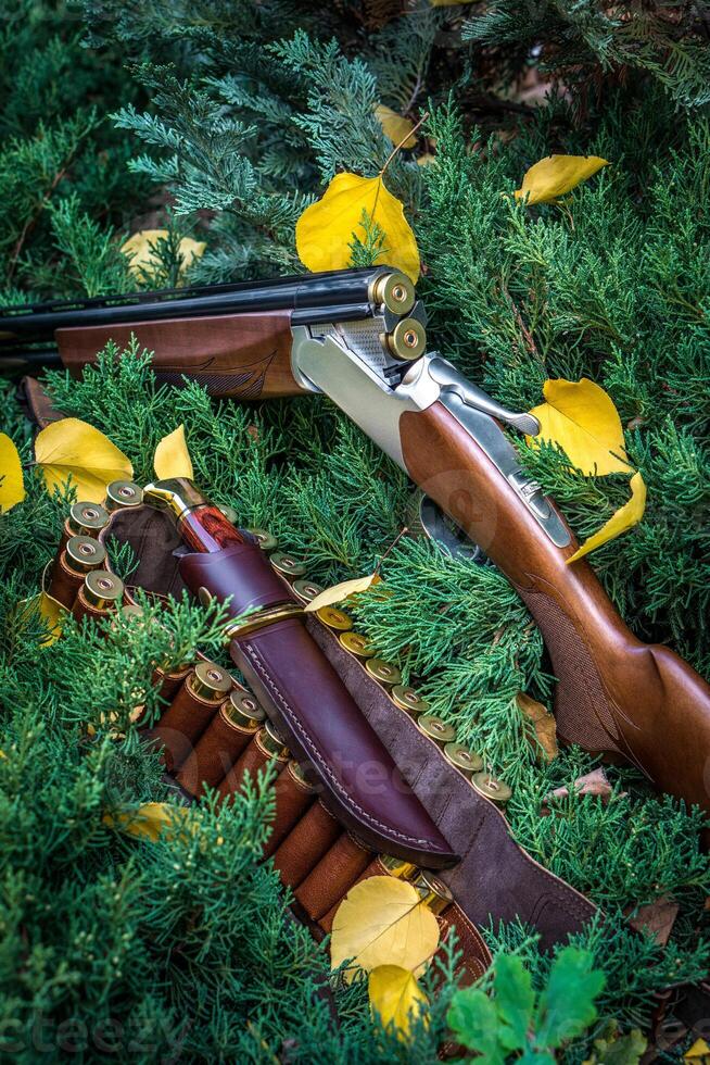 an open hunting rifle with cartridges and a knife in a leather case, lying on the branches of green fir. photo
