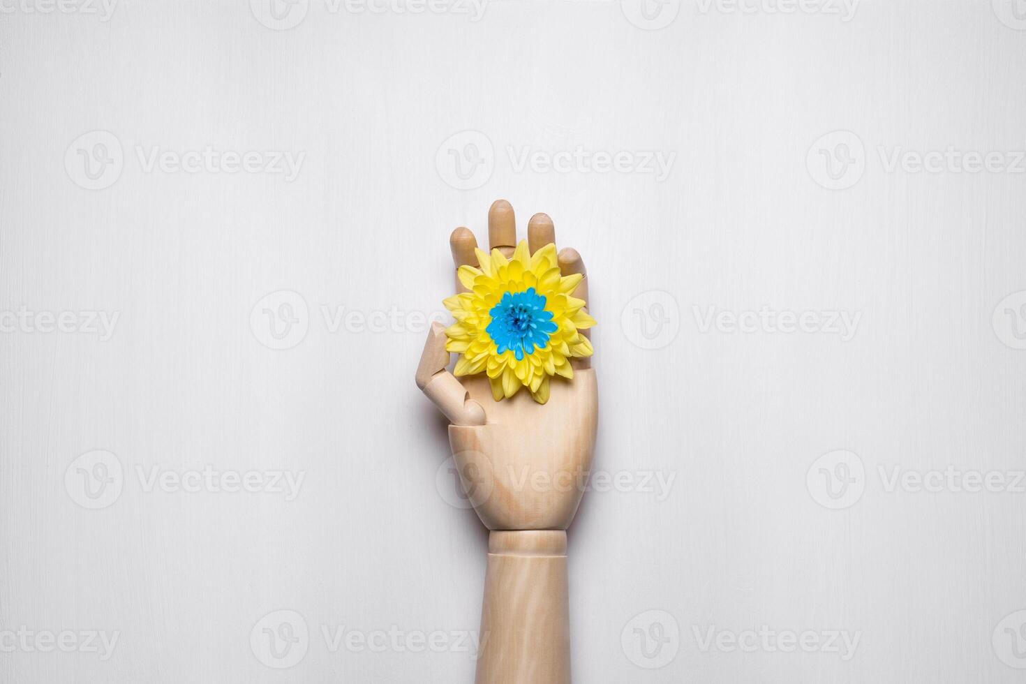 A yellow flower with a blue heart rests on a wooden hand. Colors of the flag of Ukraine. Light back. photo
