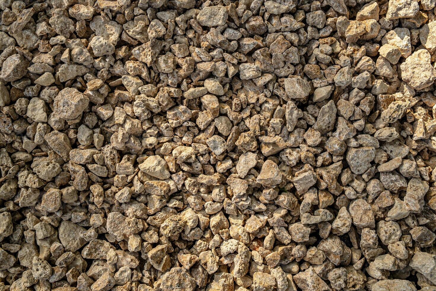 Texture of small shell rock. Background of small cobblestones and fragments of shell rock. photo