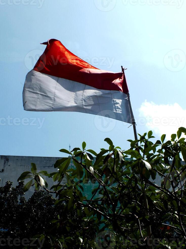 The Indonesian national flag waves in the wind on a tree covered rooftop of the building against a bright blue sky. National patriotism. Indonesian Independence day photo