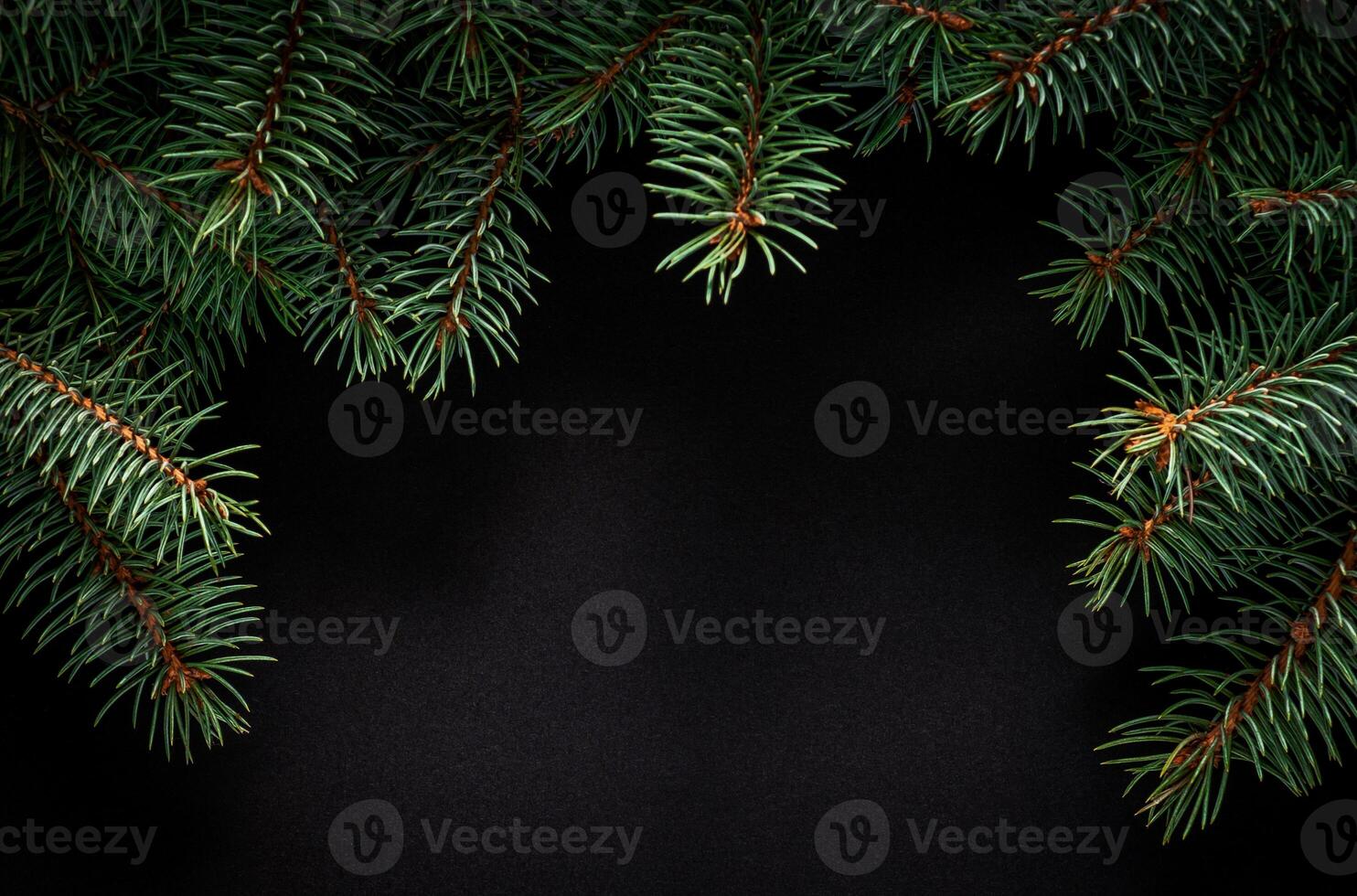 Christmas green frame from fir branches on a black board background. Frame of fir branches. Christmas card blank. photo
