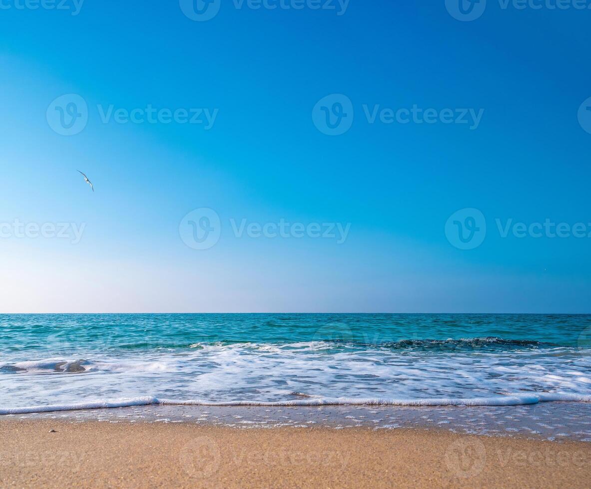 Seascape. Waves running on the sandy shore. Shore of the sea or ocean on a nice day. Vacation and relaxation by the sea. photo