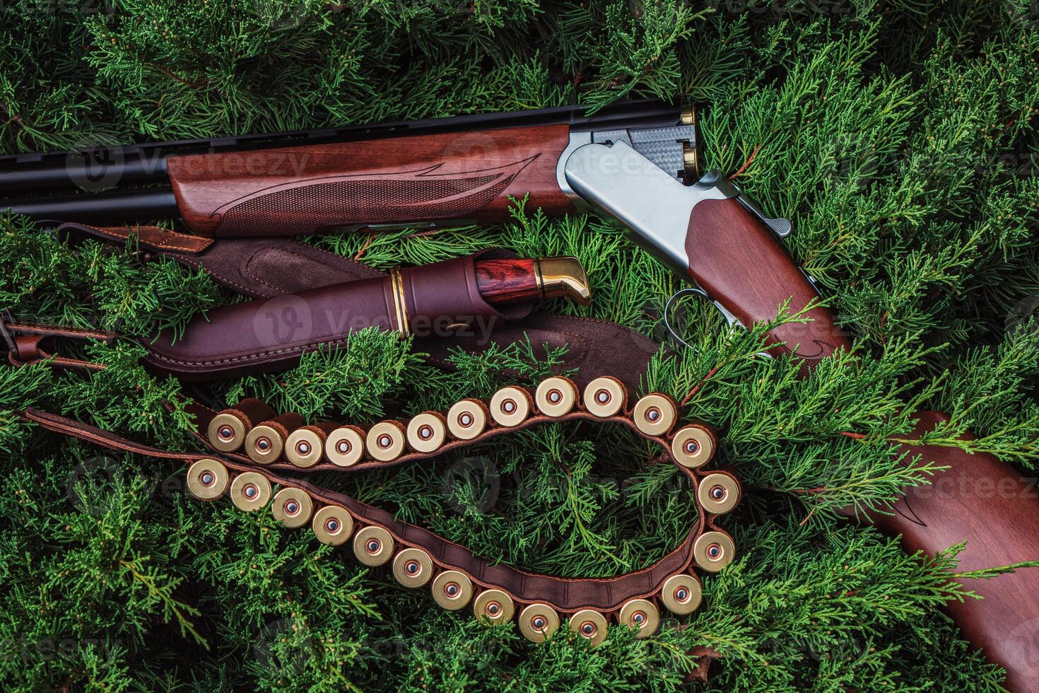 An open hunting rifle with cartridges and a knife in a leather case, lying on the branches of green fir. photo