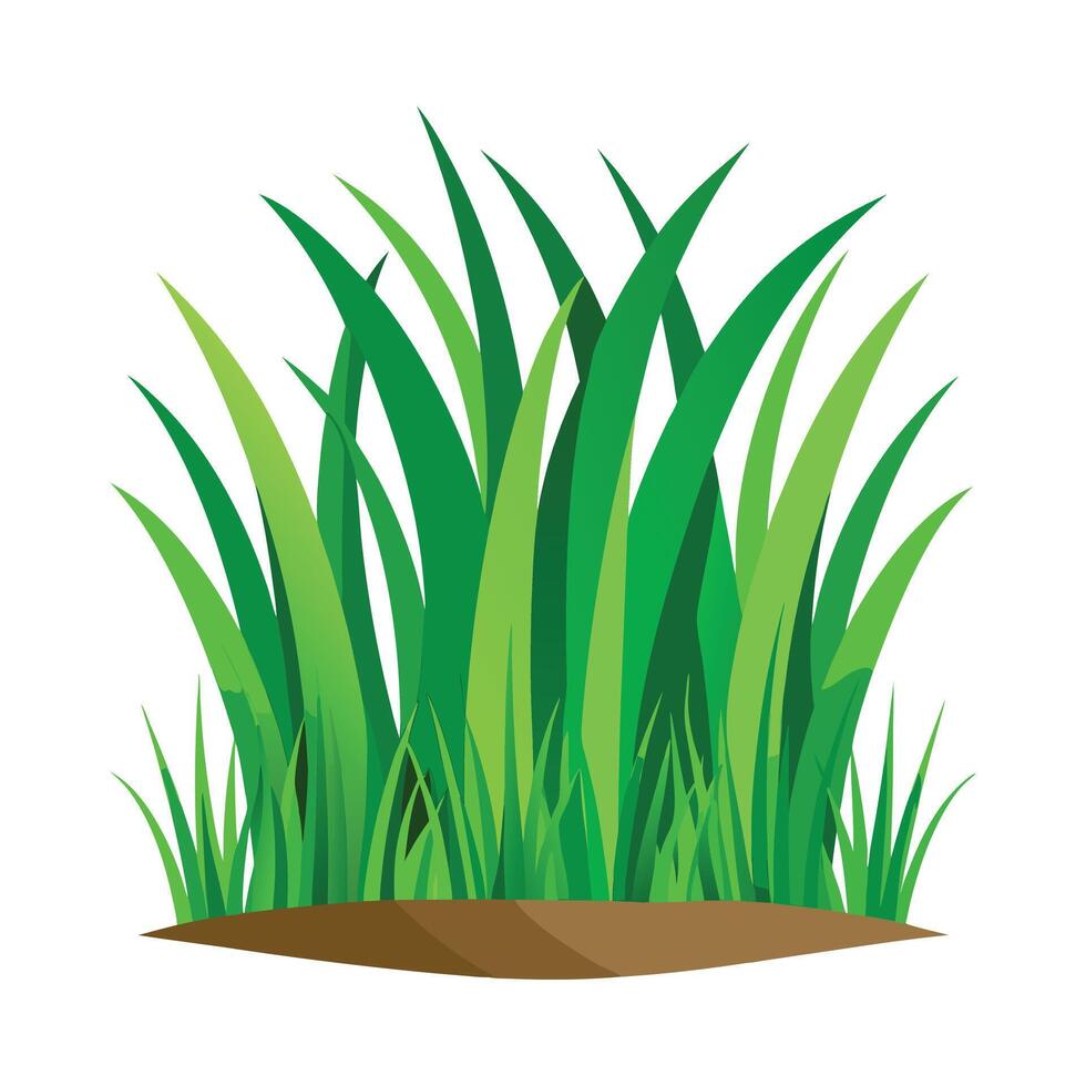 green grass illustration vector