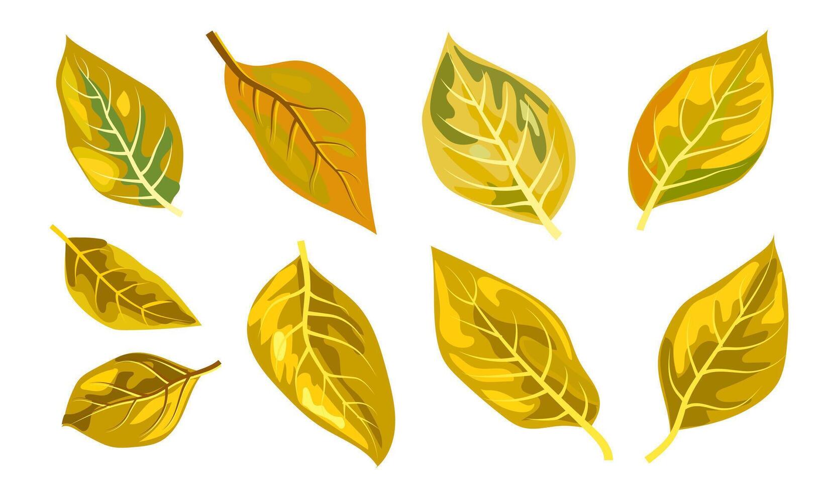 Illustration of bright yellow autumn leaves. Simple graphic style on white background. Concept of autumn and seasonal change. illustration vector