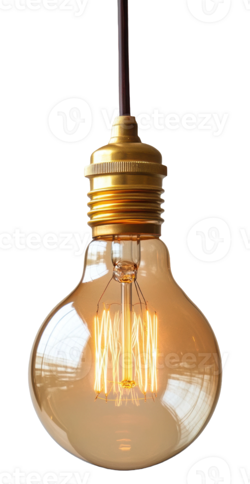 Vintage pendant light bulb hanging from ceiling, cut out - stock . png