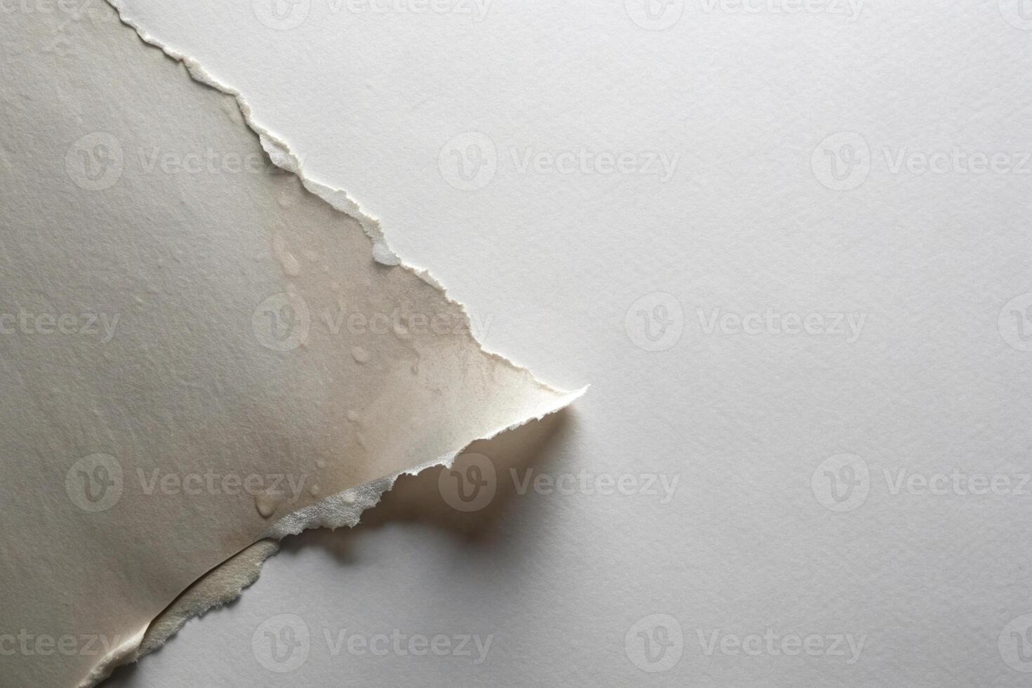 Grey ripped wet paper at white background for your presentation background photo