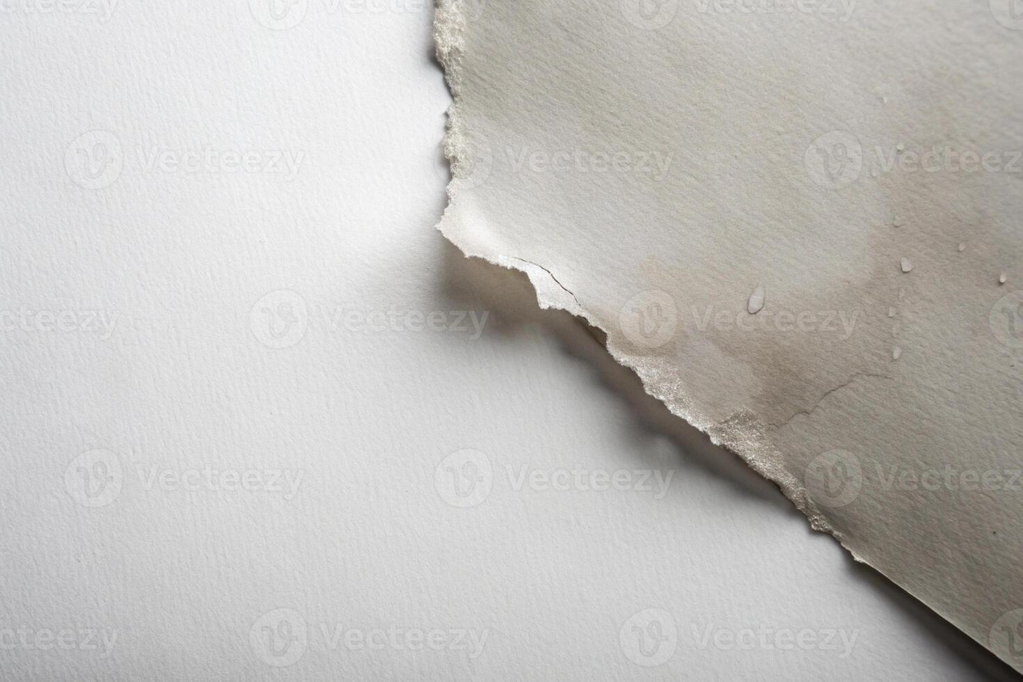 Grey ripped wet paper at white background for your presentation background photo