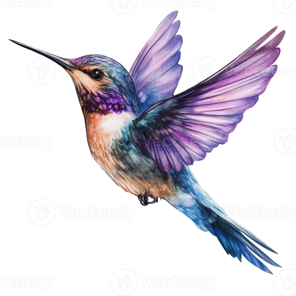 Colorful hummingbird in mid-flight png