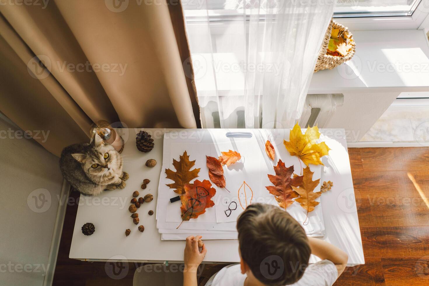 Boy Engaged in Creative Leaf Art Activity at Home with cat photo