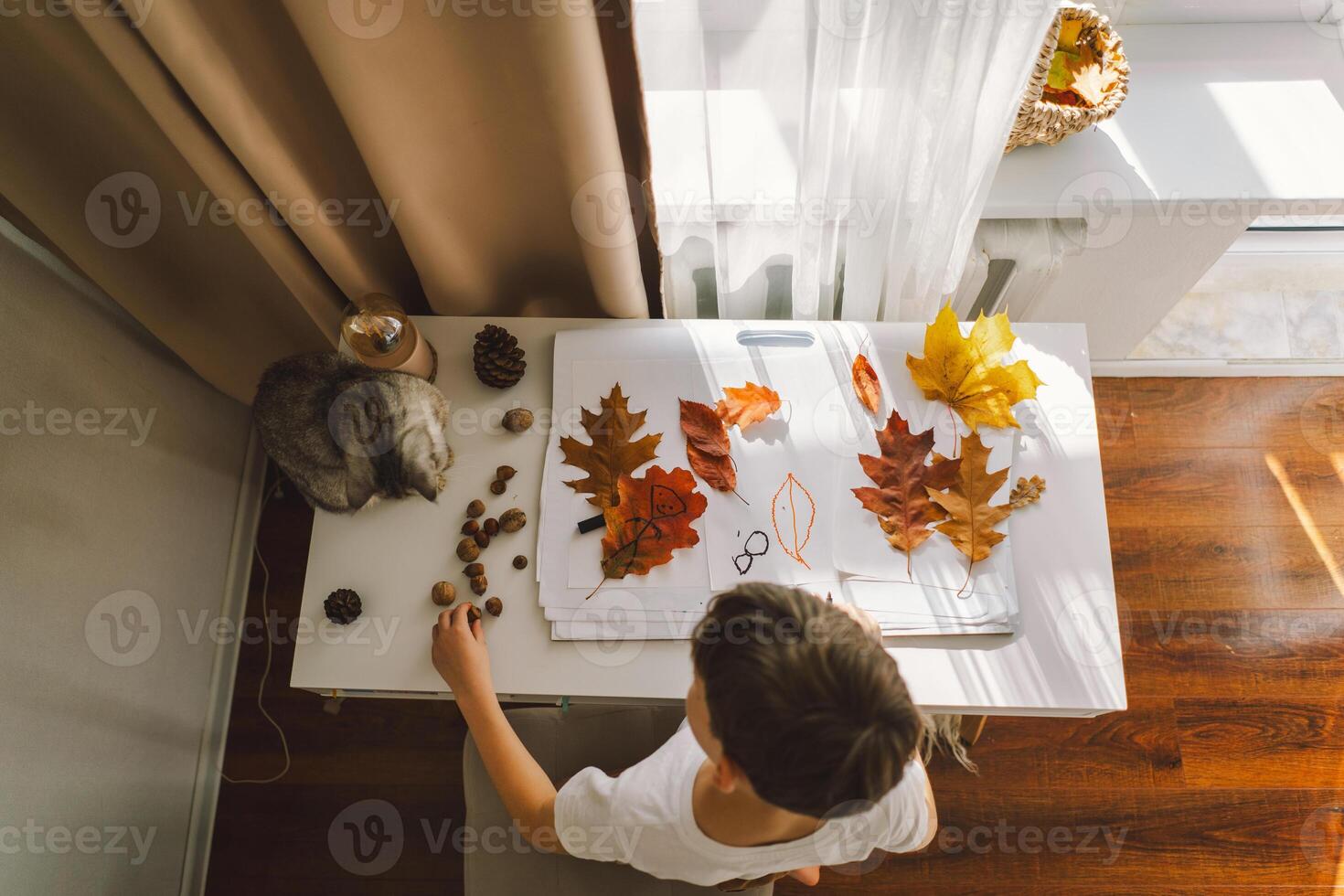 Boy Engaged in Creative Leaf Art Activity at Home with cat photo