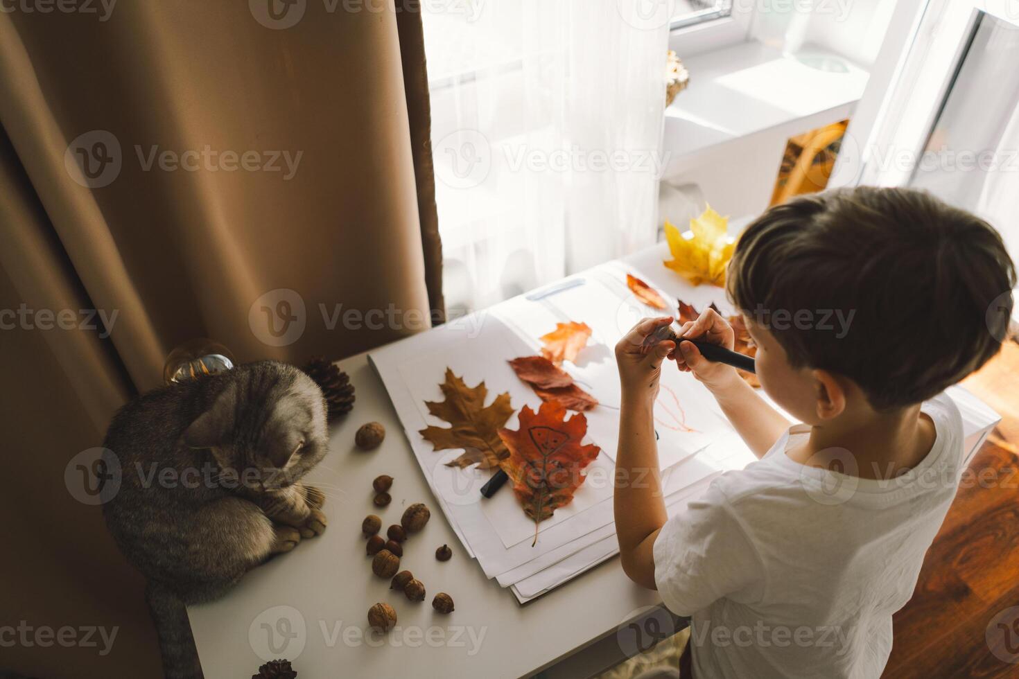 Boy Engaged in Creative Leaf Art Activity at Home with cat photo