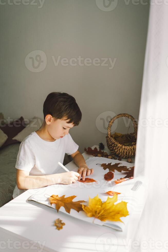 Young Boy Engaged in Creative Leaf Art Activity at Home on a Sunny day photo