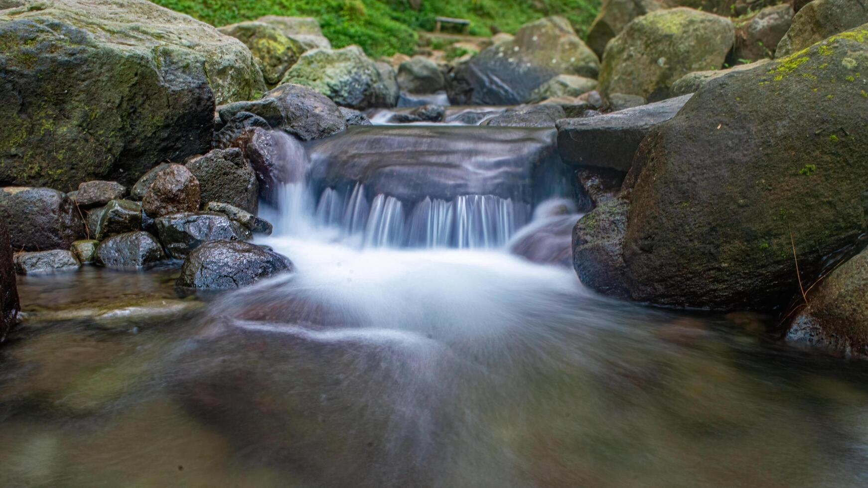 A picturesque cascade flowing gently over mossy rocks, nestled among towering trees. photo