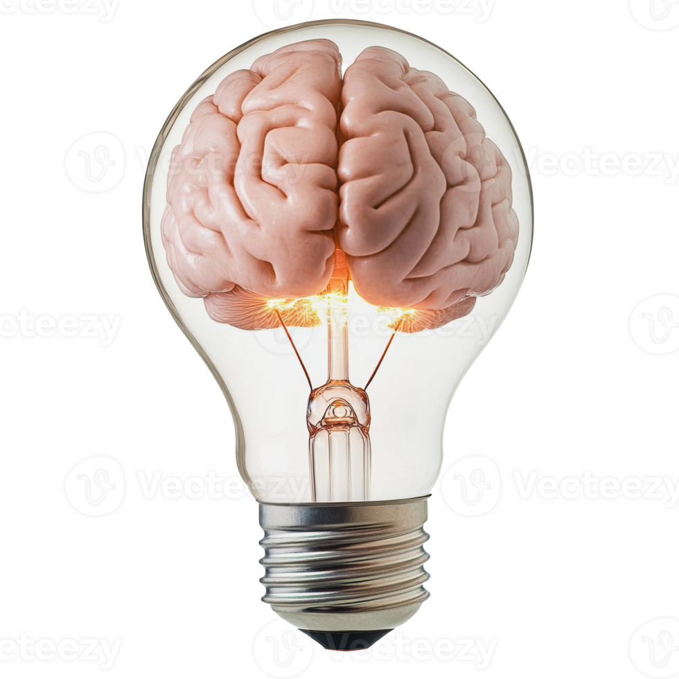 Brain inside a light bulb representing innovative ideas and creativity in a conceptual design png