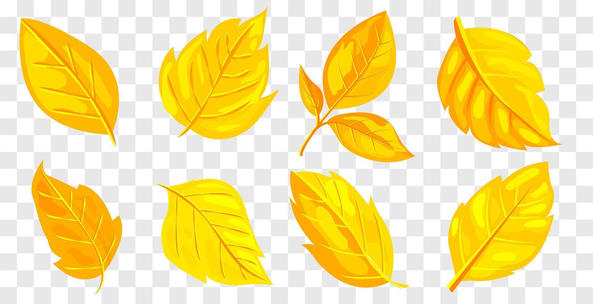 Illustration of bright yellow autumn leaves. Simple graphic style on white background. Concept of autumn and seasonal change. illustration vector