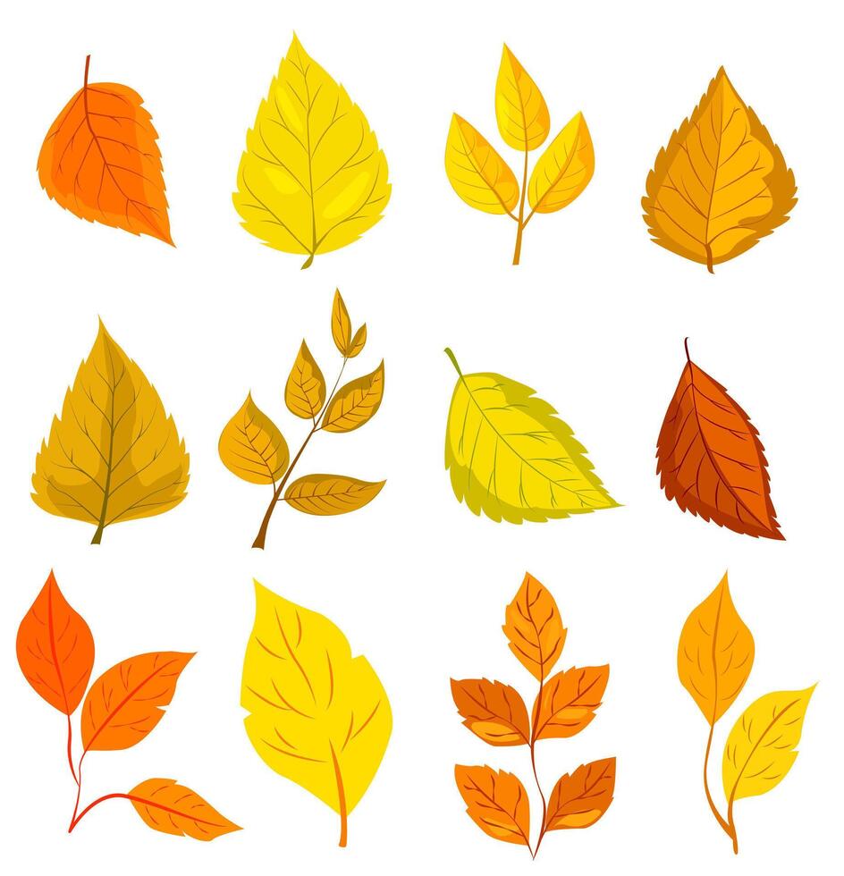 Various colorful autumn leaves in different shapes, illustrated in a vibrant graphic style on a white background, representing fall season. illustration vector