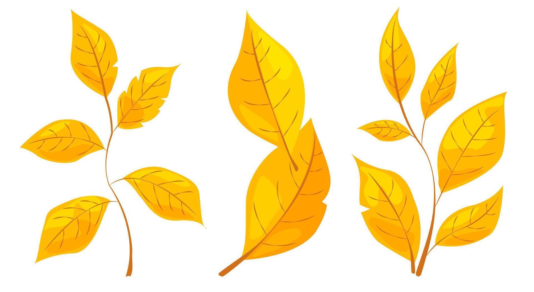 Illustration of bright yellow autumn leaves. Simple graphic style on white background. Concept of autumn and seasonal change. illustration vector