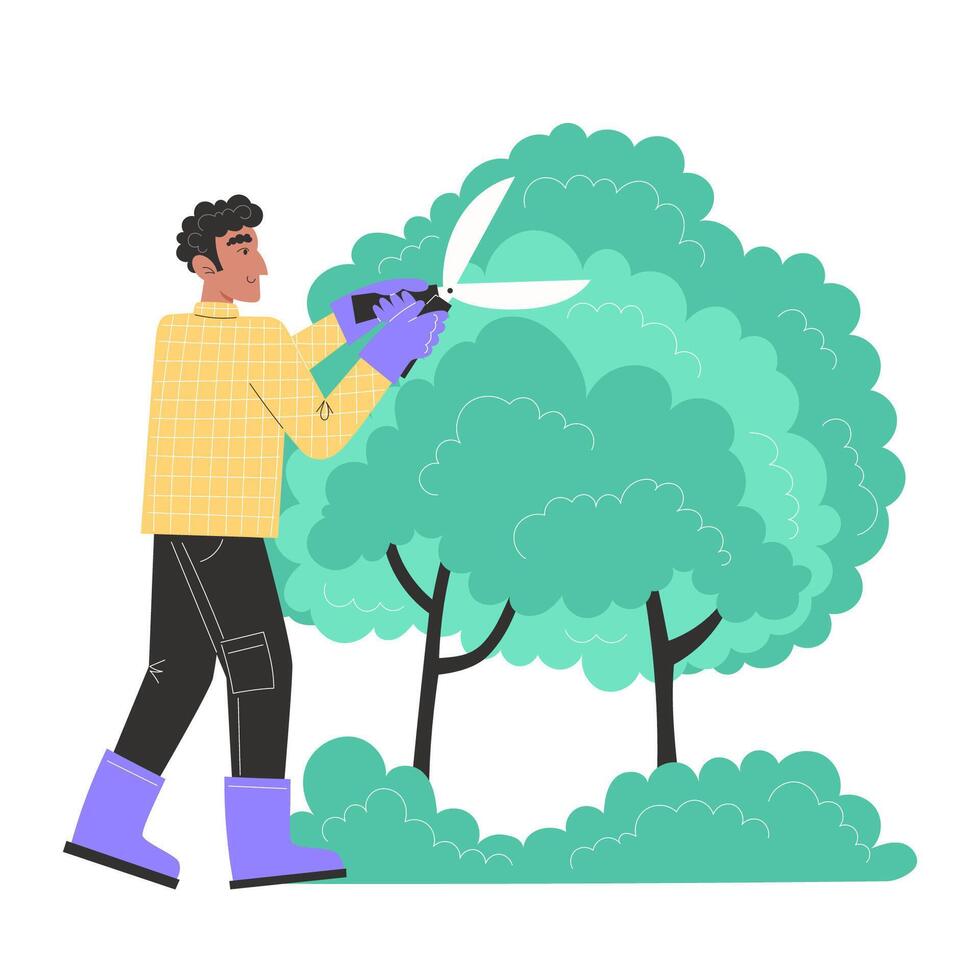 A young man trims bushes in the garden with garden shears vector